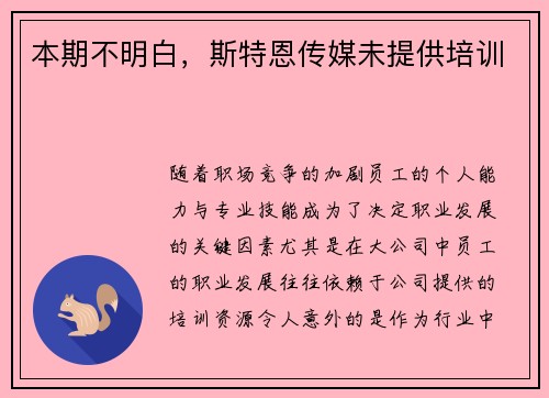 本期不明白，斯特恩传媒未提供培训